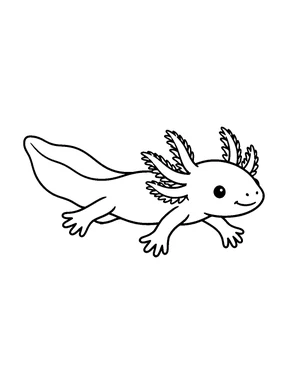 An axolotl swimming, shown from the side.