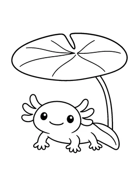 An axolotl resting under a large water lily leaf.