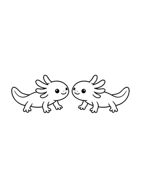 Two small axolotls facing each other.