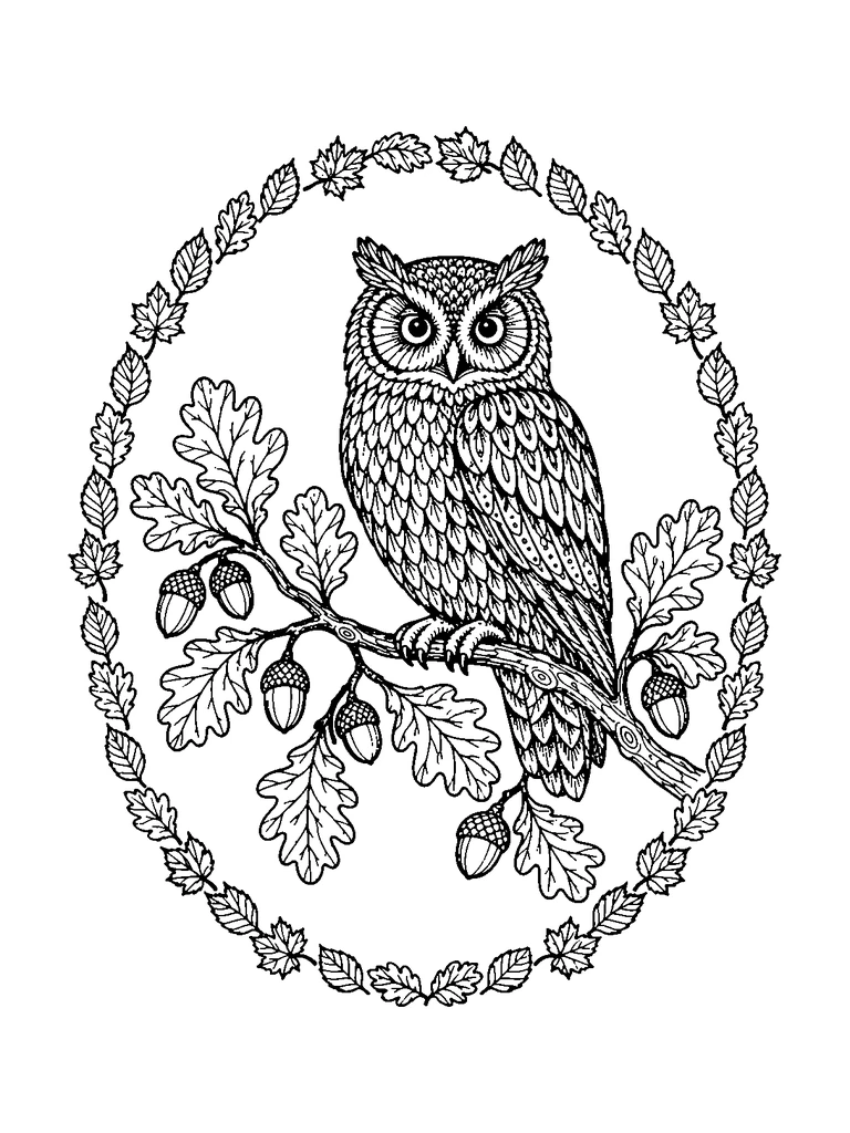 An owl perched on an oak branch with leaves and acorns, inside an oval frame of small autumn leaves.