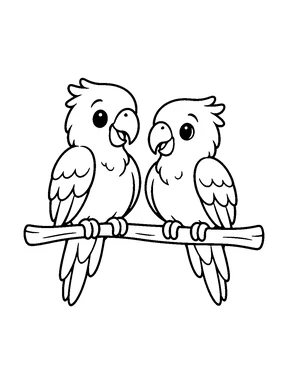 Two small parrots sitting on one branch.