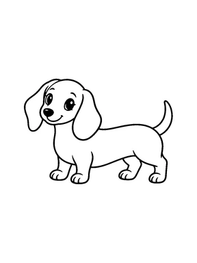 A standing dachshund with its ears down.