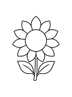 A large sunflower with broad petals.