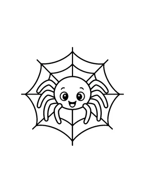 A simple spider on a small web.