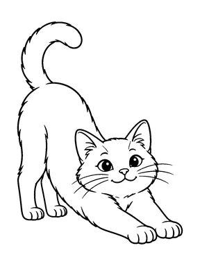 A cat stretches its front legs forward with its hindquarters raised.