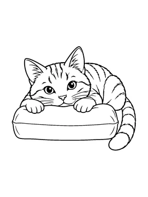 A cat rests its chin and front paws on a rectangular cushion.