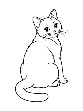 A seated cat turns its head to look over its shoulder.