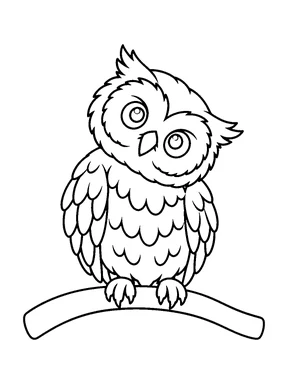 A wide-eyed owl perches on a curved branch with its head tilted and wings folded.