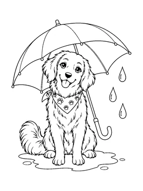 A sitting dog shelters under an open umbrella beside raindrops and a puddle.