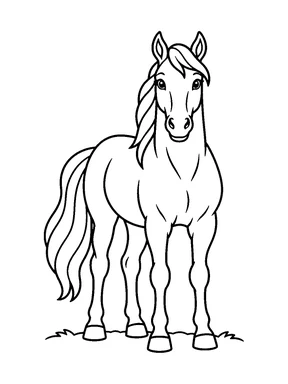 A calm horse stands facing forward with its full body, mane, and tail visible.