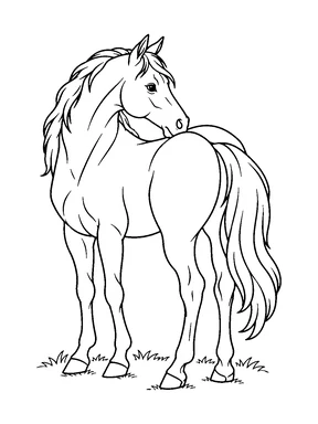 A standing horse turns its head back toward its long tail.