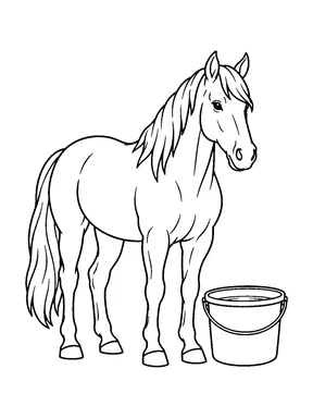 A horse stands beside a plain round water bucket.