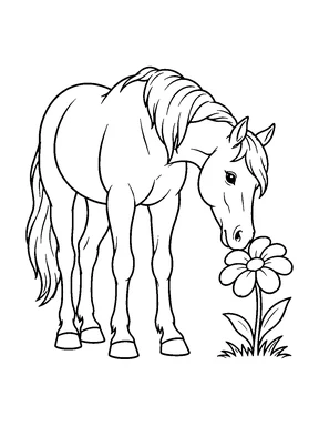 A horse bends down to smell a large flower growing in a small patch of grass.