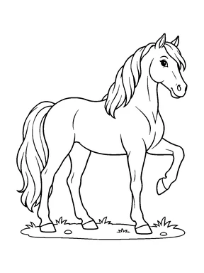 A horse stands in side view and lifts one front hoof in a friendly pose.