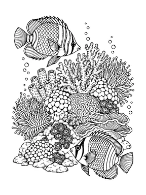 Two patterned tropical fish swim on opposite sides of a detailed coral outcrop.