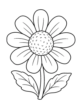 A large flower with broad rounded petals, small curved marks across its center, a long stem, and two wide leaves.