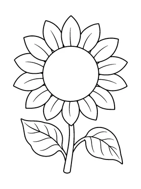 A sunflower with one ring of pointed petals around a large blank center, a straight stem, and two broad leaves.