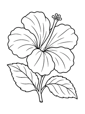 A wide hibiscus bloom with a long central stamen ending in rounded tips, plus a short stem and two serrated leaves.