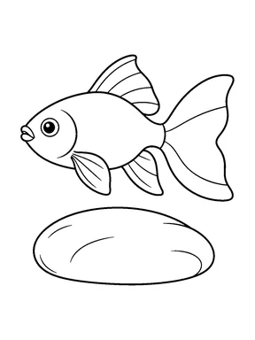 A plain-bodied fish faces left above a wide oval stone, with a large divided fan tail and gently curved fins.