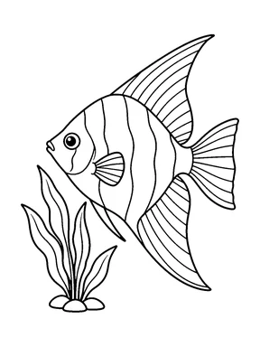 A striped angelfish with tall triangular fins faces left beside a short aquatic plant anchored by rounded stones.