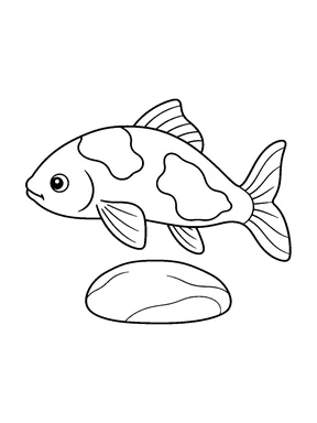 A long pond fish faces left with large irregular patches across its back and side, swimming above a smooth oval stone.