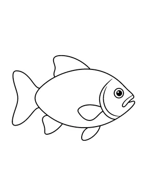 A smooth oval fish faces right with a broad unsegmented tail, rounded fins, simple gill curves and a small open mouth against a white background.